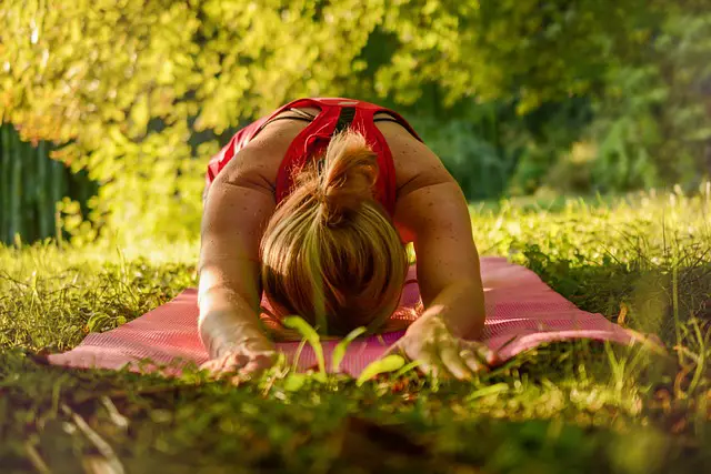 Top Yoga Stretches for Ultimate Flexibility