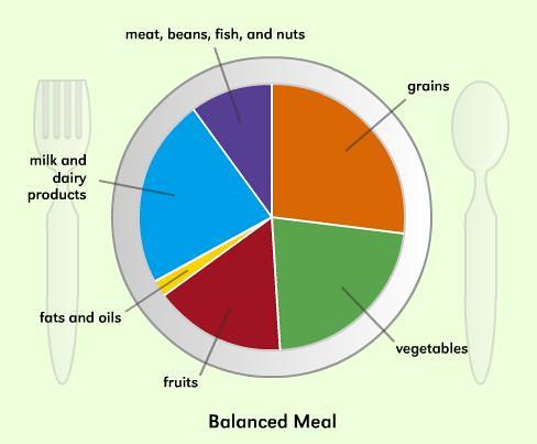 Building a Balanced Diet: Understanding Macronutrients