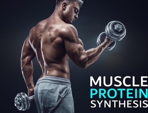 The Power of Protein: A Guide for Athletes